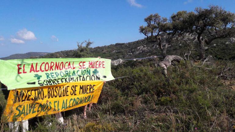 Agaden se concentra por el alcornocal en el Día Mundial del Medioambiente