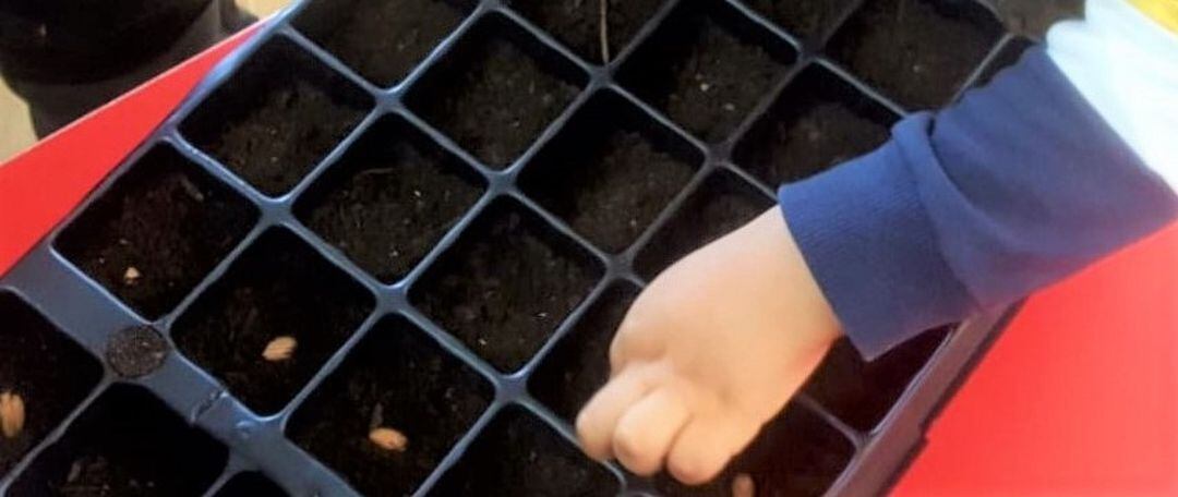 Un niño aprende a plantar especies autóctonas