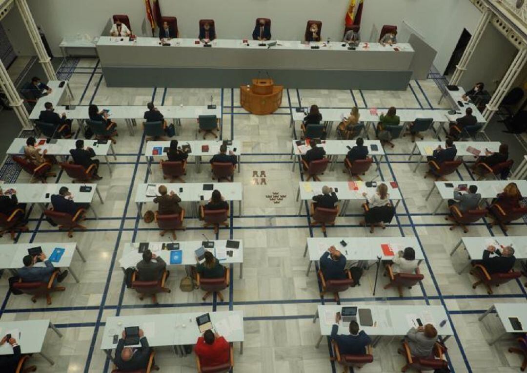 Pleno de la Asamblea