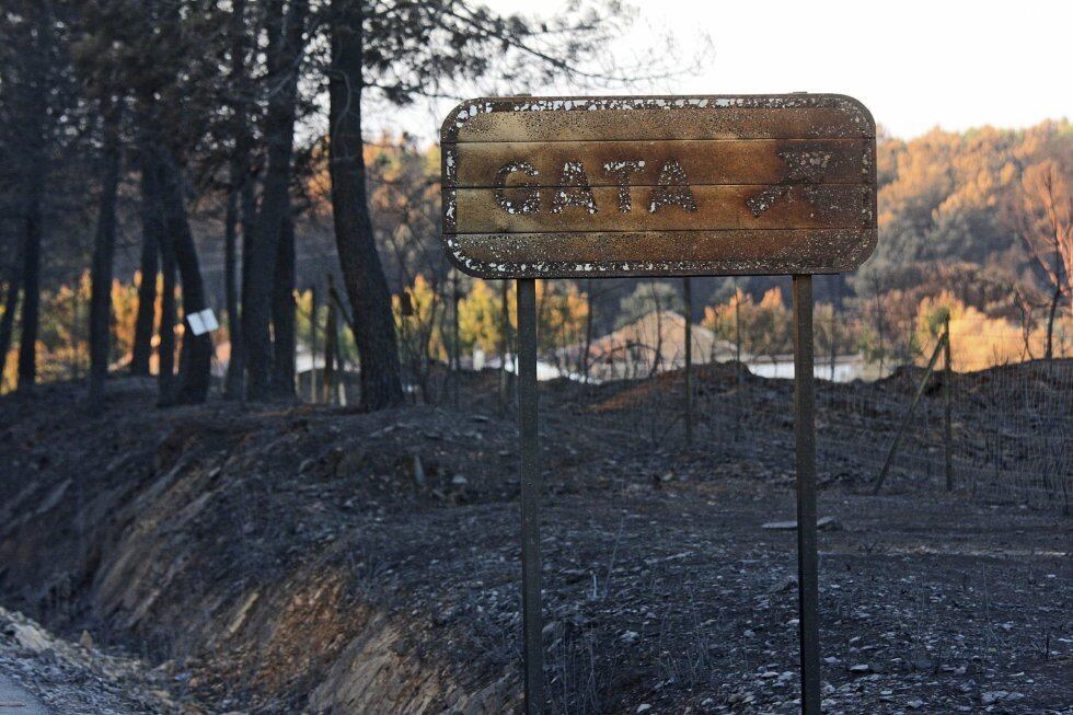 Carretera del Puerto Perales, que une las provincias de Salamanca y Cáceres, muy afectada por las llamas del incendio de la Sierra de Gata.