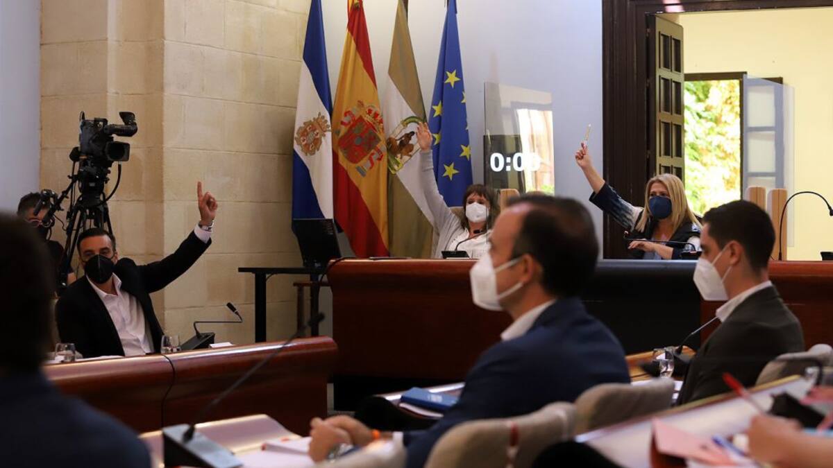 Declaraciones en la sesión plenaria de este lunes en el Ayuntamiento de Jerez