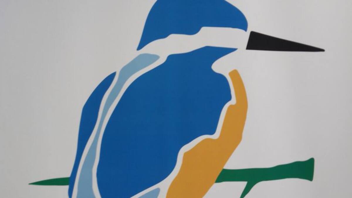 Una app para vigilar el Guadiana