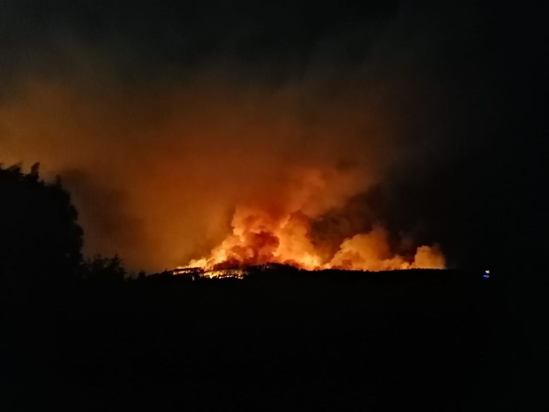 Incendio en Pazos de Borbén