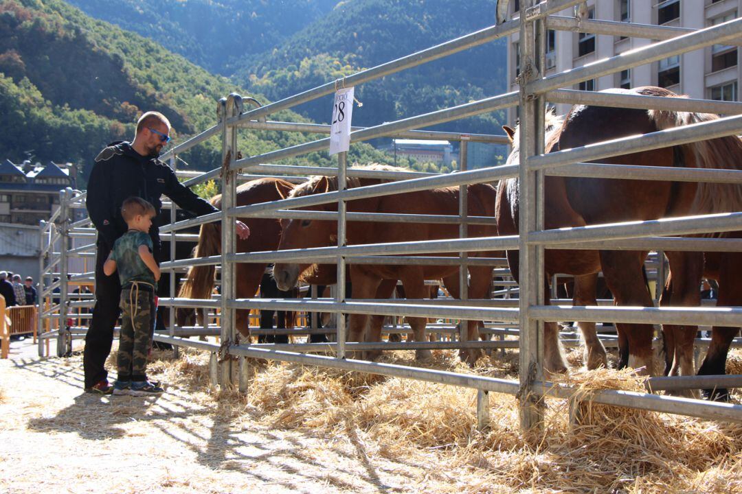 Un pare amb el seu fill durant la Fira del Bestiar celebrada aquest diumenge.