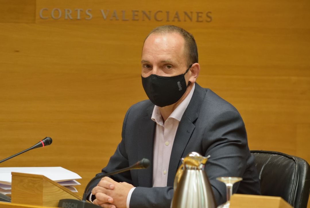 El vicepresidente segundo del Consell, Rubén Martínez Dalmau, durante una comisión de Les Corts. 