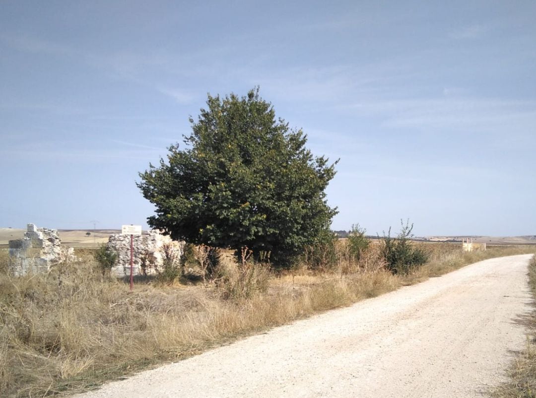 En primer plano ruinas de la ermita de Fuente El Olmo de Fuentidueña y al fondo las obras del punto limpio que ha levantado polémica entre los vecinos