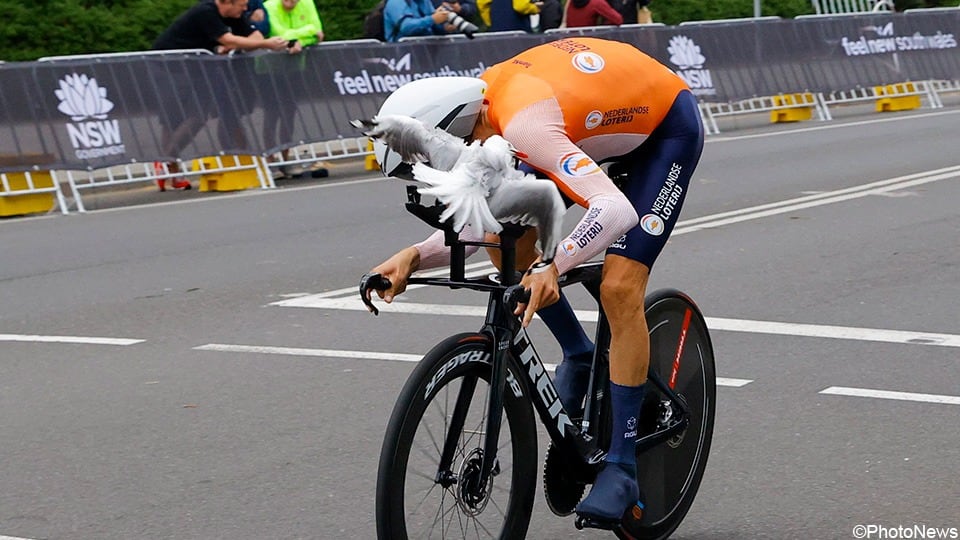 Bauke Mollema sufre el impacto de una gaviota