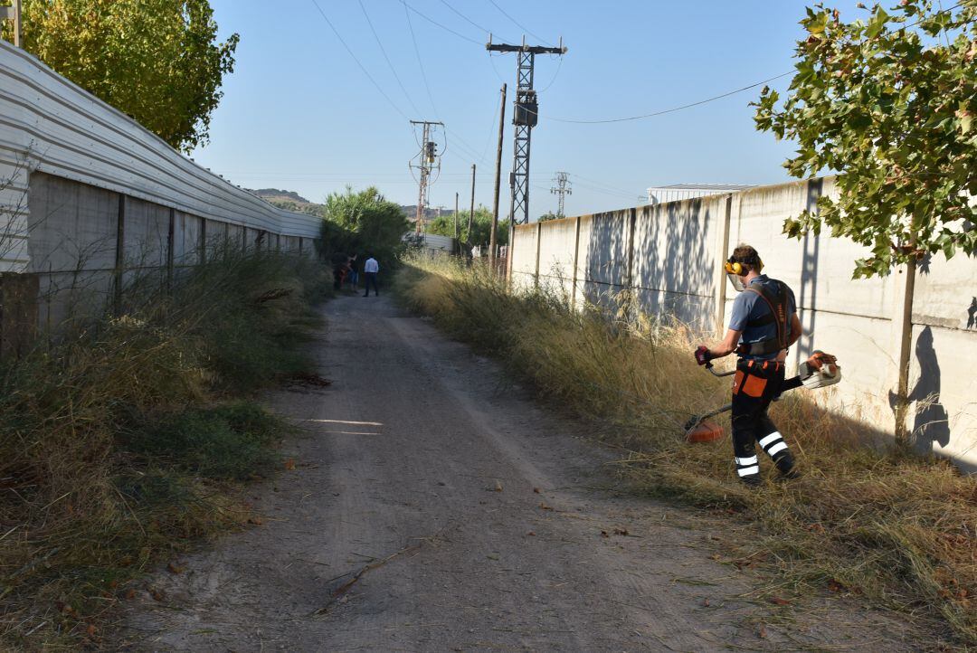 Desbroce camino San Bartolomé