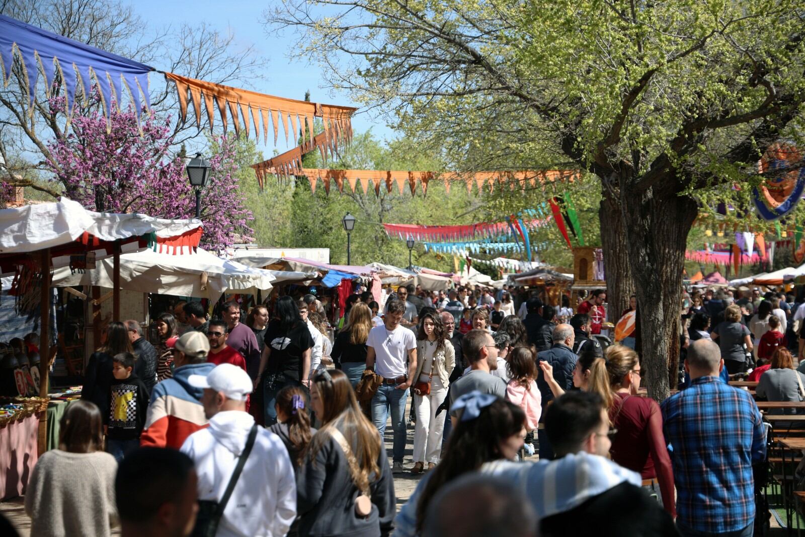 Imagen de la celebración del mercado medieval en el Paseo de Recaredo de Toledo