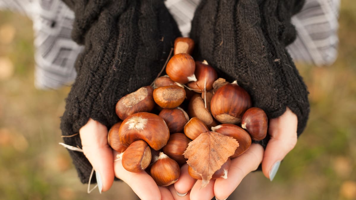 Cocina Consciente con Valentina Benet
