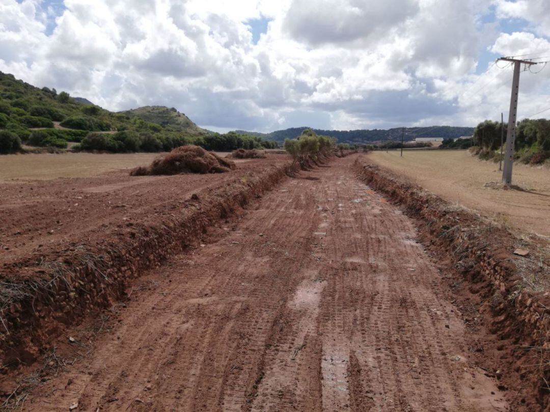 L'actuació de Medi Ambient al torrent de Ferreries afecta a la flora, fauna i terra fèrtil de la zona.
