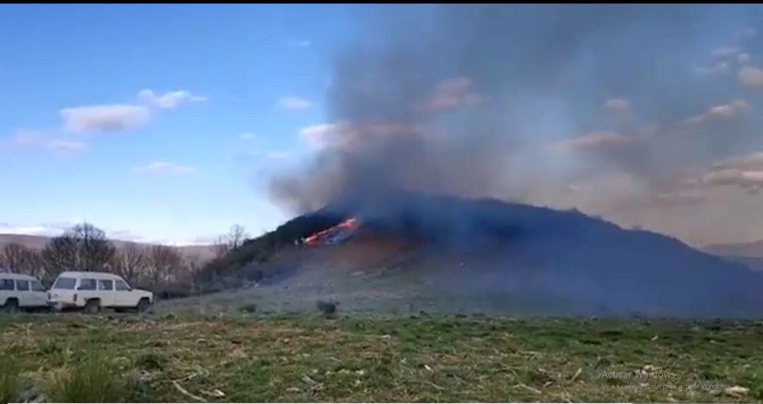 La llamas afectaron a un soto de castaños