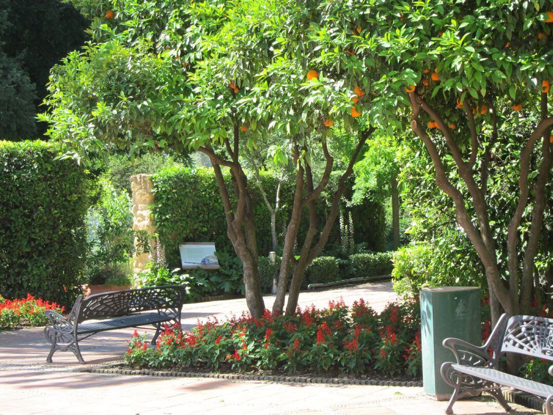 Flores, arbustos y árboles del Jardín Botánico de Córdoba