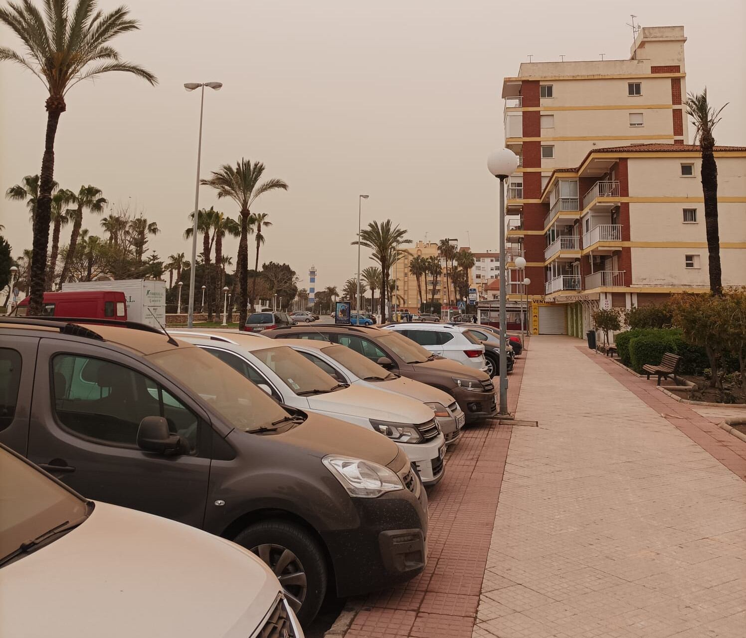 Coches y calles han amanecido cubiertos por el polvo naranja del Sáhara