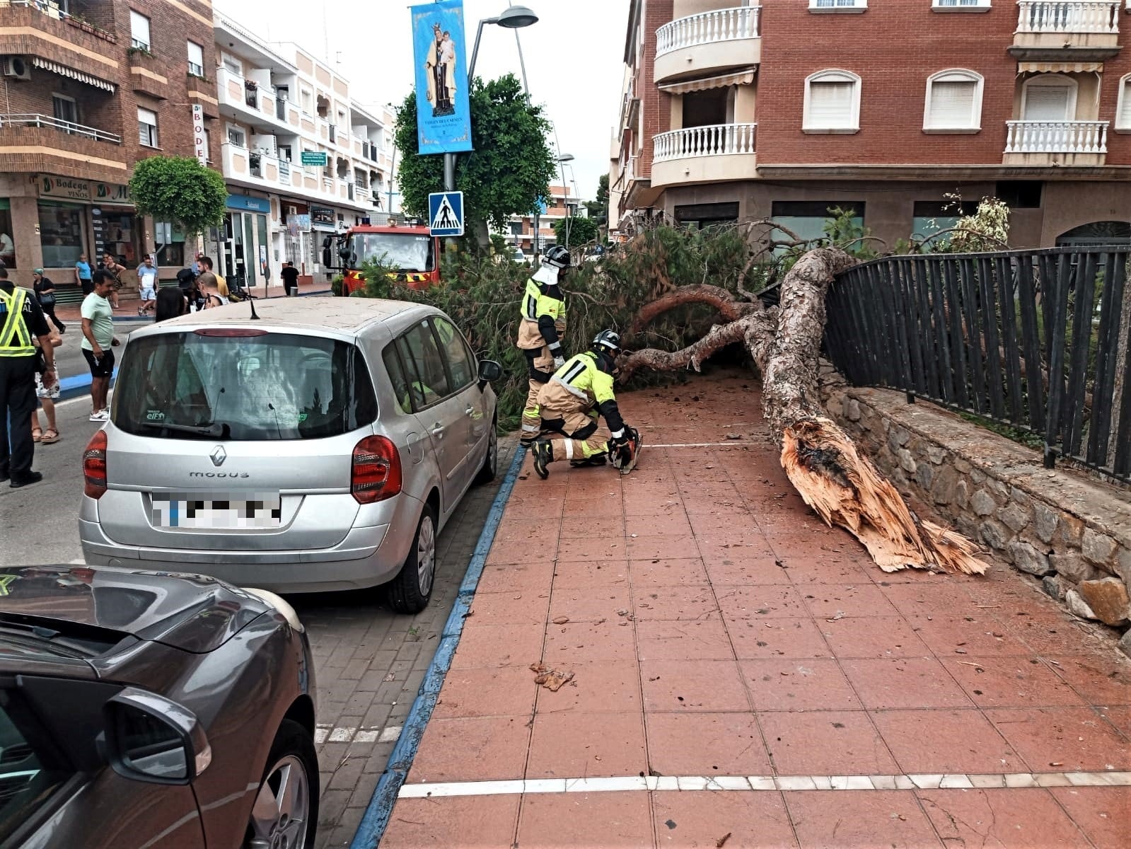 Dos heridas al caer un árbol en La Ribera