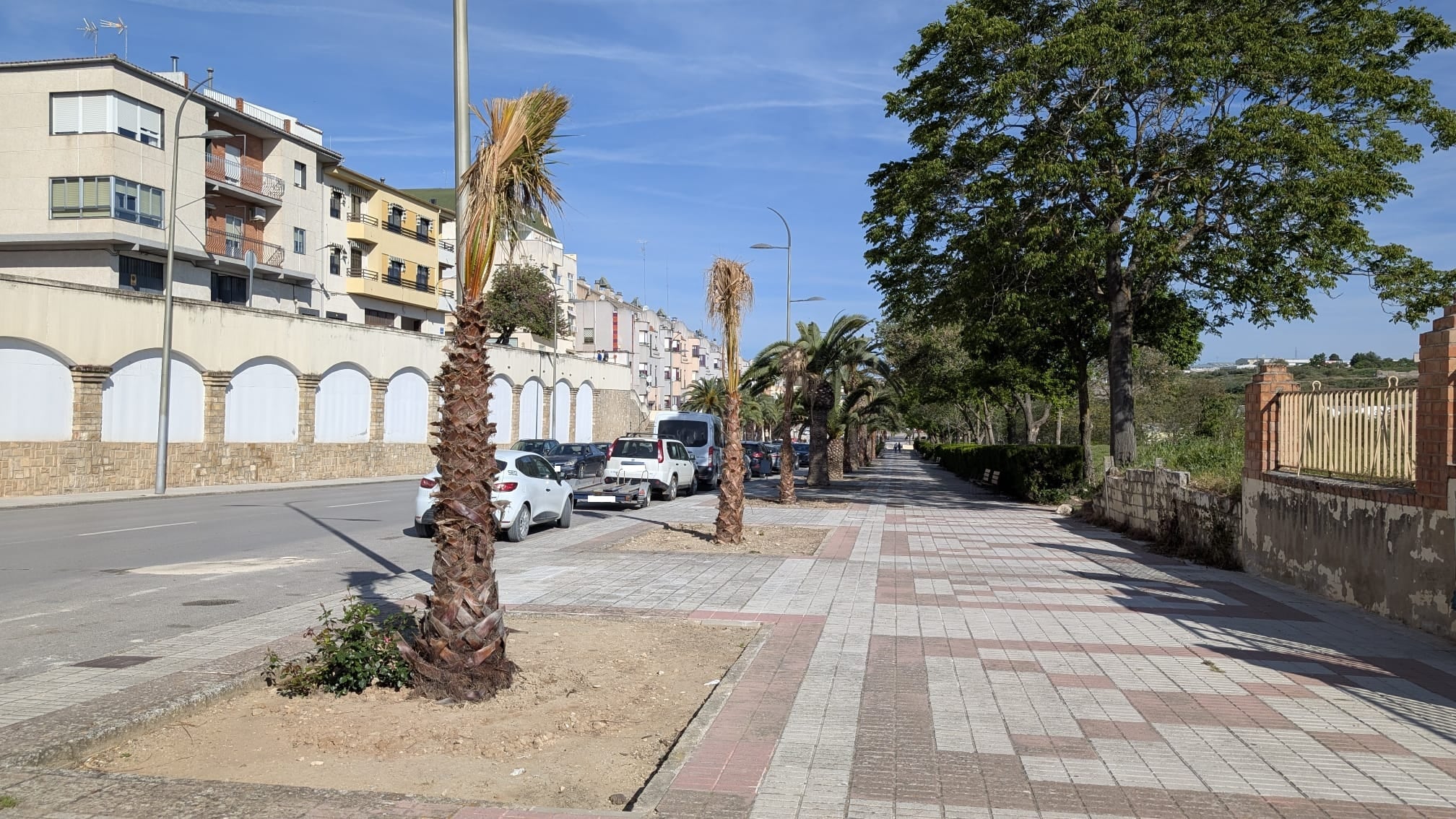 Avenida de La Loma en Úbeda