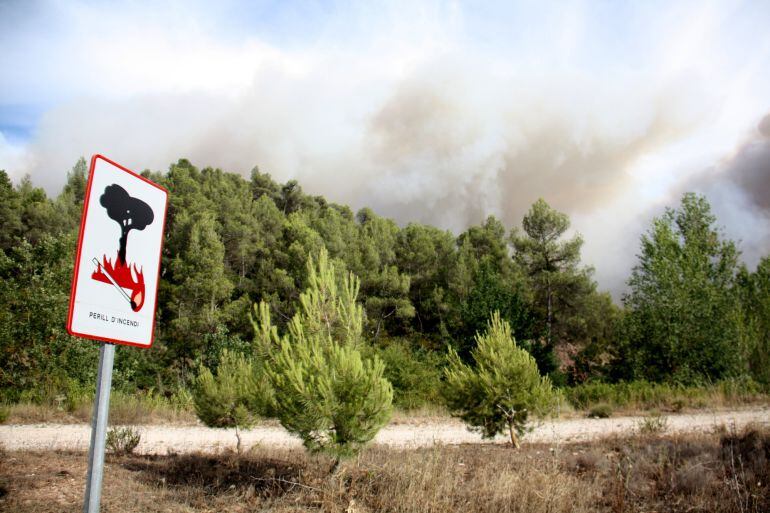 Un centenar de dotacions dels Bombers treballen en l&#039;extinció de l&#039;incendi d&#039;Òdena, que ja ha cremat 350 hectàrees