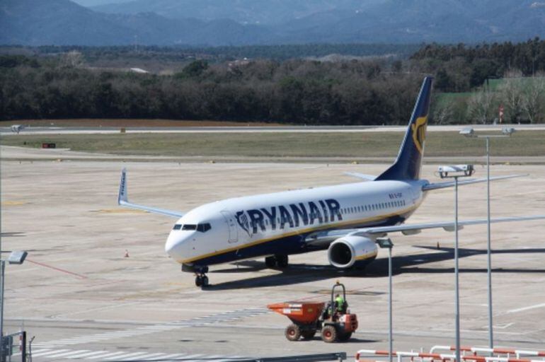 Cada cop se'n veuen menys a Girona.