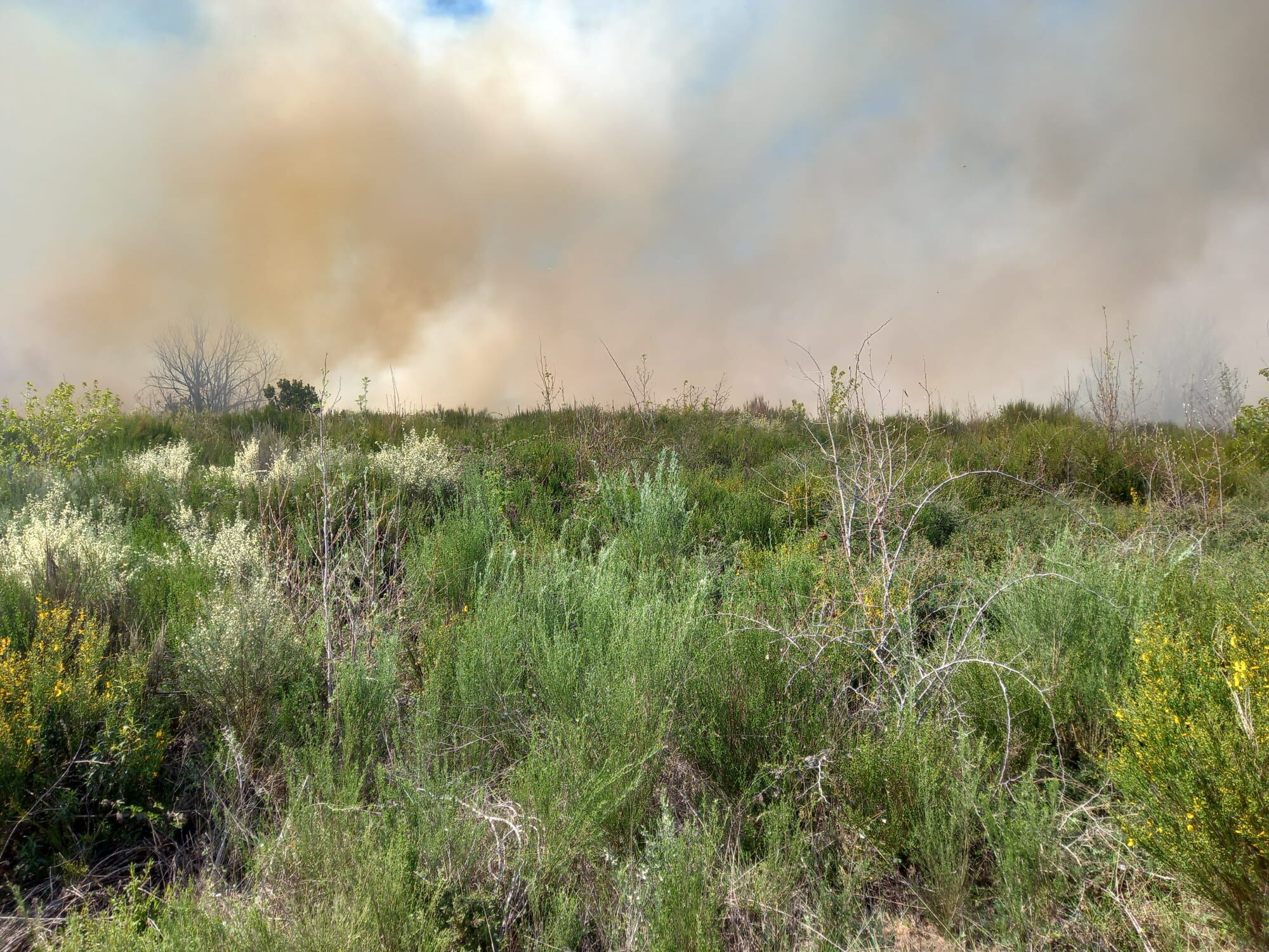 Los efectivos de emergencia intervienen para sofocar un incendio en Rozuelo