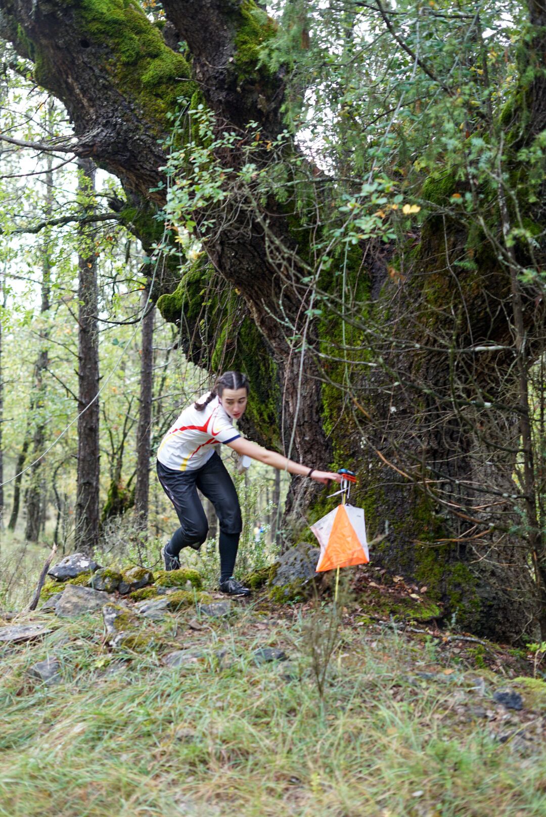 Trofeo de Orientación a pie de Peña Guara