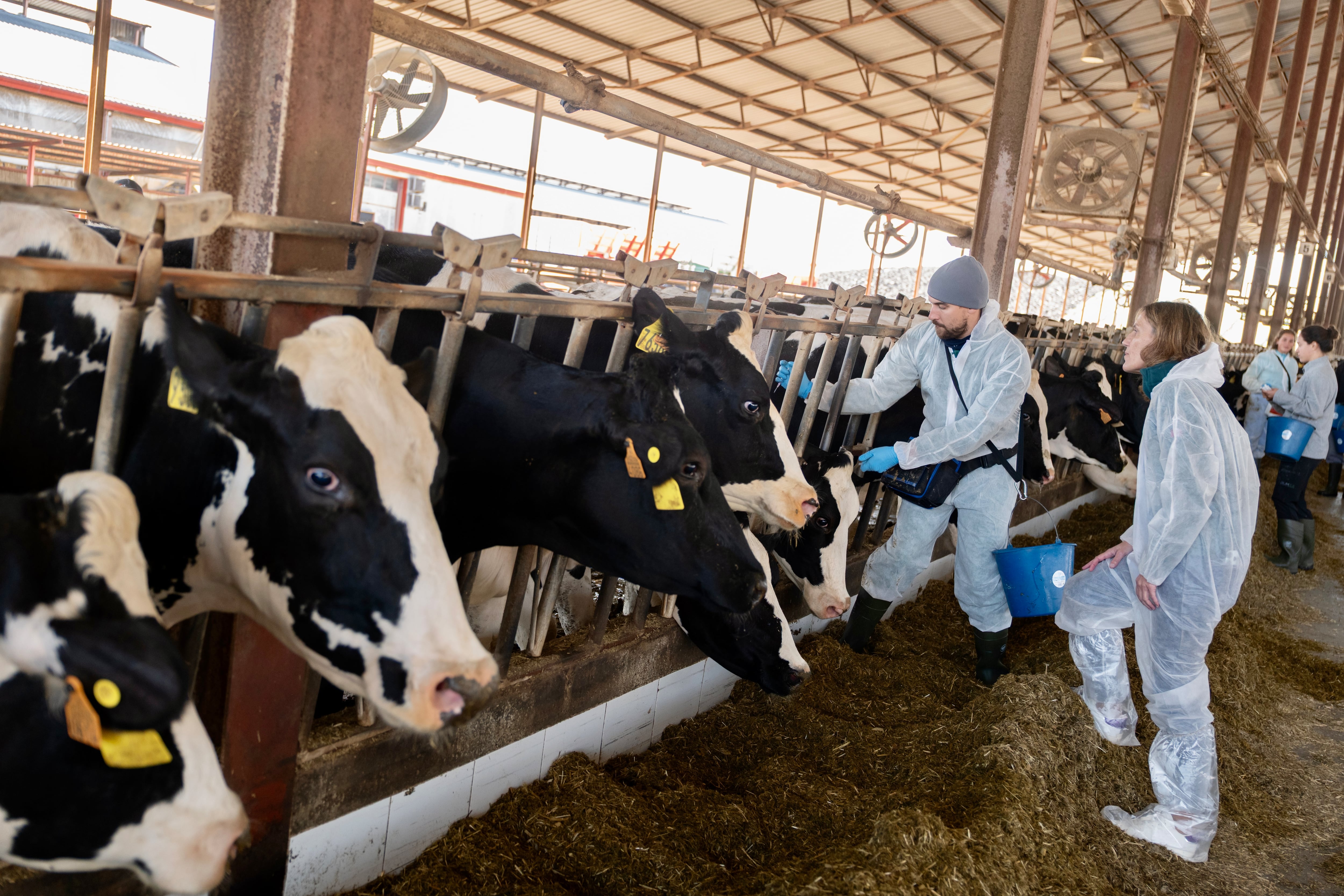 En estas tres zonas aragonesas se concentran alrededor de 30.000 cabezas bovinas, fundamentalmente explotaciones de vacas nodrizas. Firmado: Fabián Simón