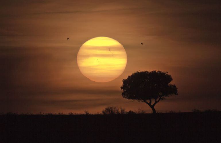 Manchas solares apreciables en cielo de Mérida