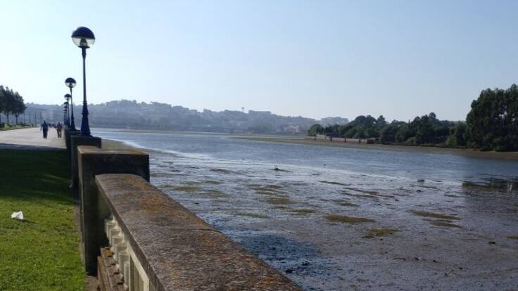 Entrevista a Antonio Justo, Jefe de protección Civil en Culleredo (11/03/2020)