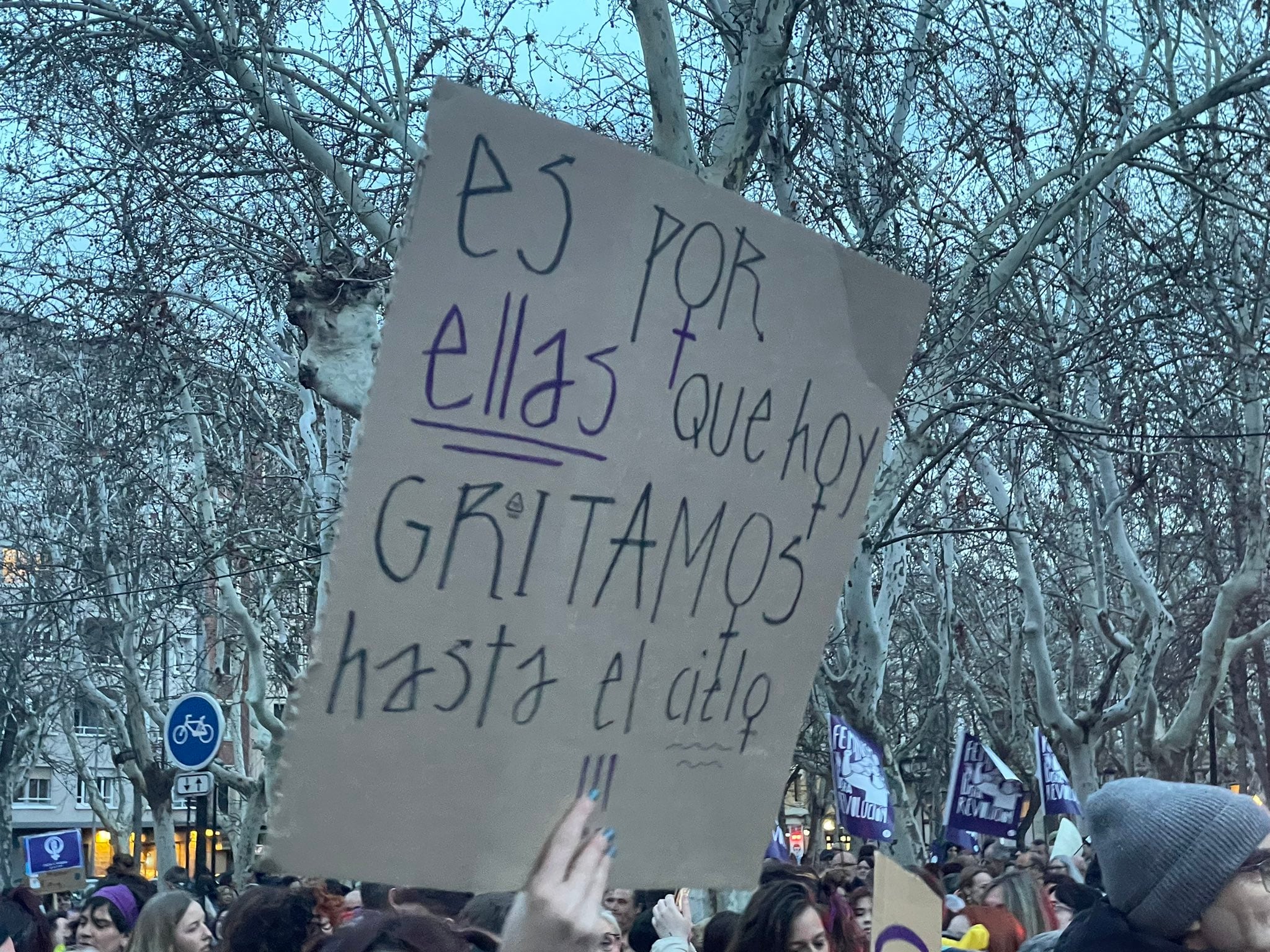 Manifestación 8M Logroño