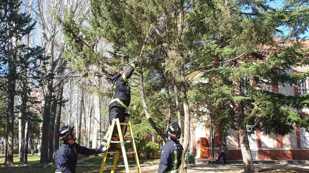Los Bomberos de Palencia acudieron al lugar de la movilización para retirar unas ramas