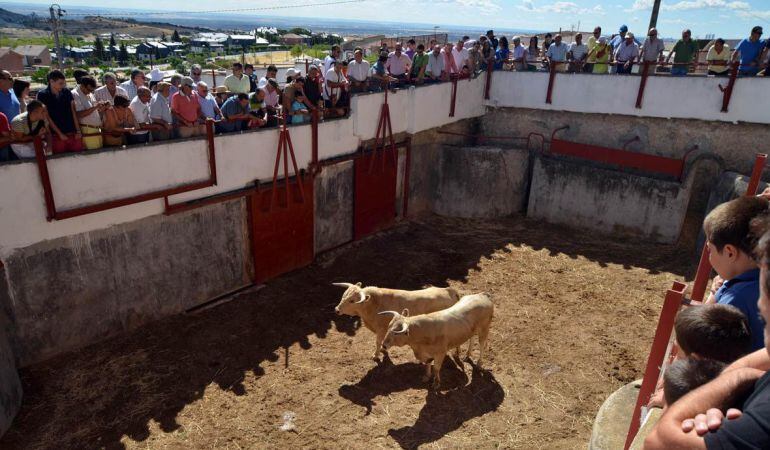 El desencajonamiento de las reses que se lidiarán durante las fiestas marcan la víspera en la plaza de toros La Corredera