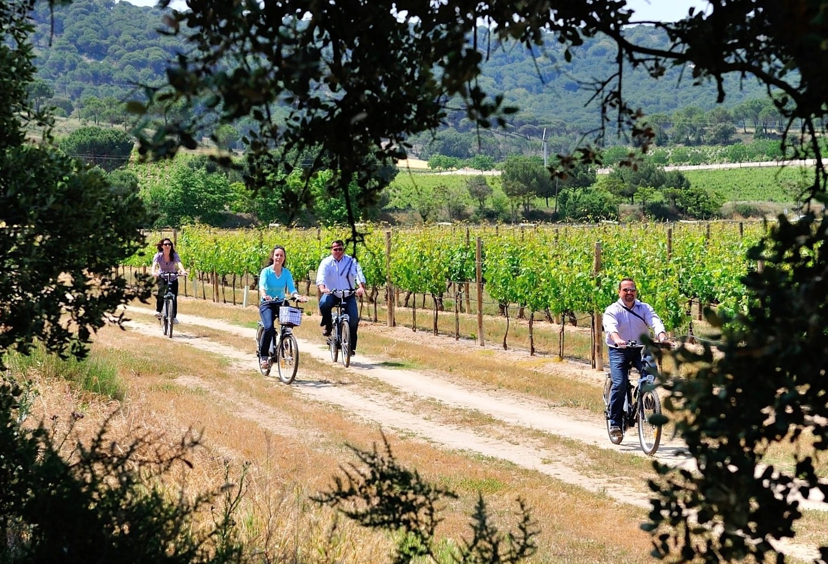 Paseos en bici en la Ruta del Vino Ribera del Duero