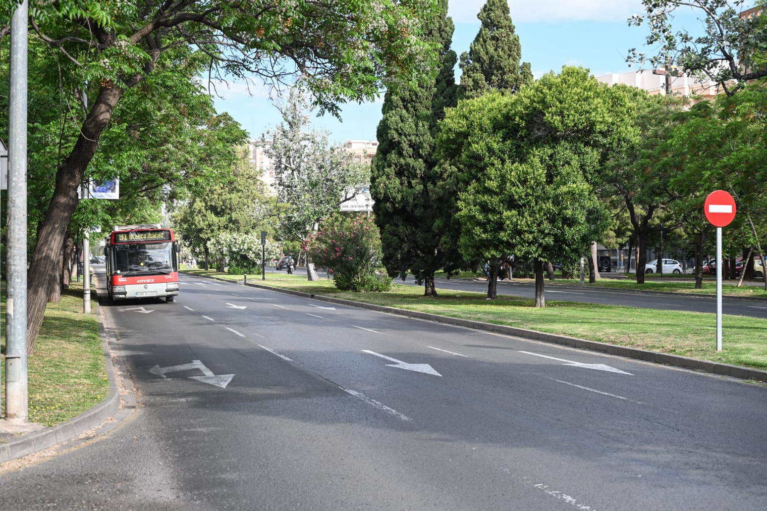 Autobuses de la EMT circulando por la avenida Blasco Ibáñez de València