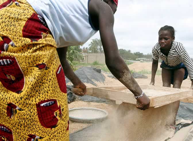 Una madre y su hija, de Costa de Marfil, durante la cosecha.
