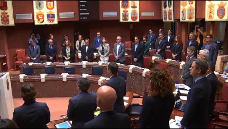 Los diputados han interrumpido la actividad para gaurdar un minuto de silencio como homenaje a la mujer muerta víctima de violencia de género ayer en Murcia.