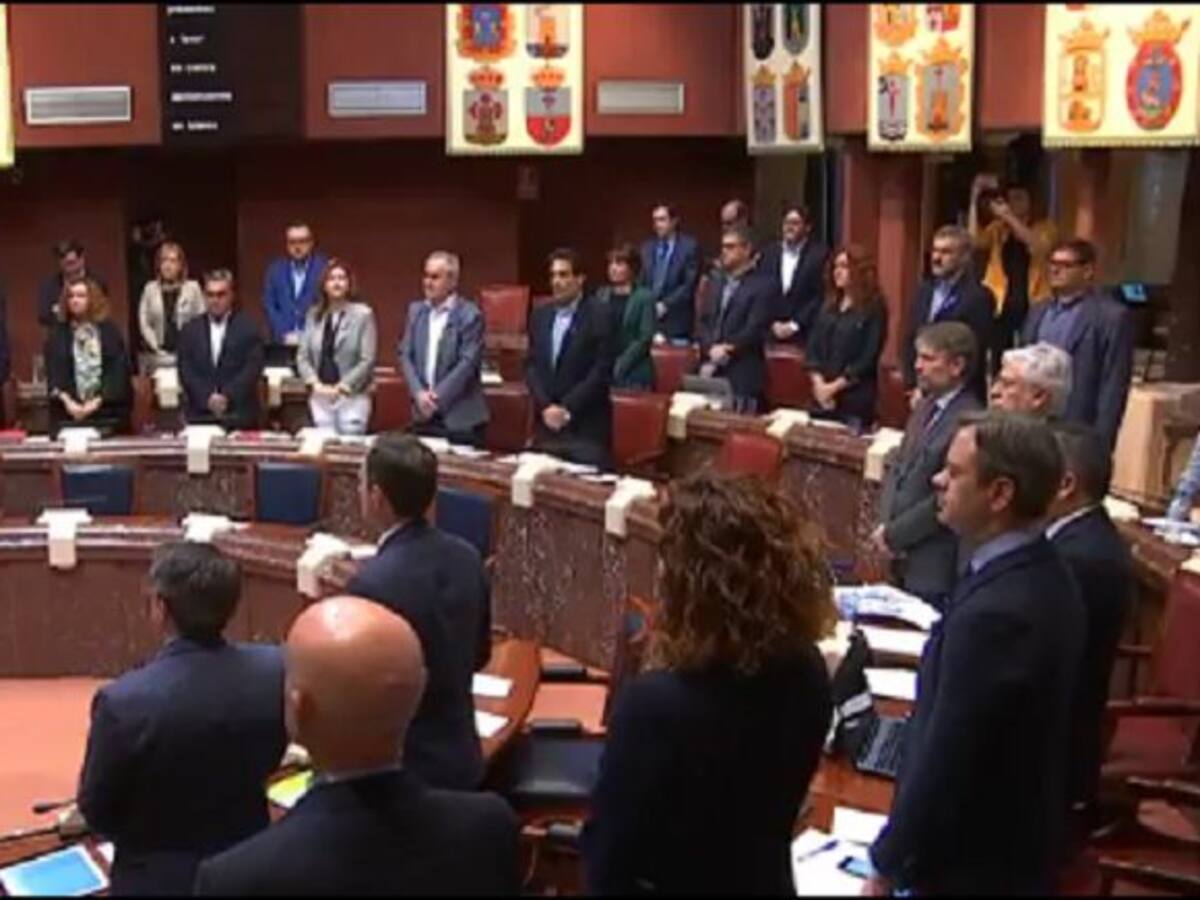 La Asamblea pide al Gobierno que elabore una ley de derechos para las personas con discapacidad