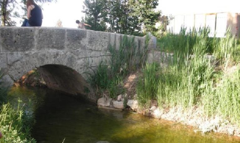 Río Riánsares a su paso por Tarancón.