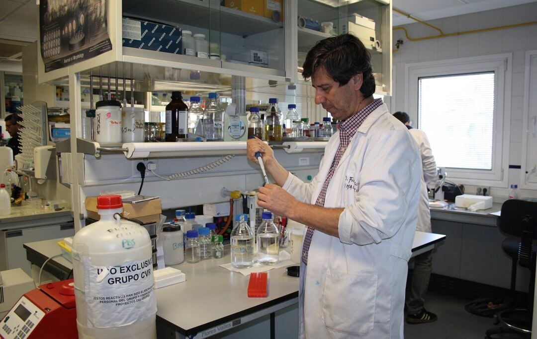 Un investigador de la Universidad de Jaén trabaja en su laboratorio.
