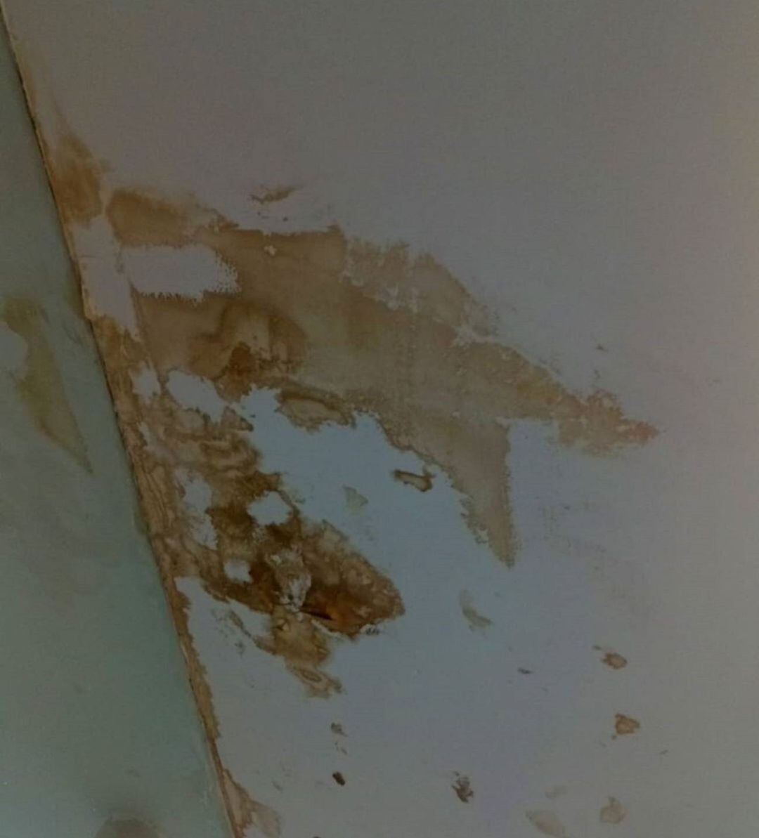 Situación del techo del  gimnasio del colegio Miguel Delibes de Móstoles hace unos meses (foto de archivo)