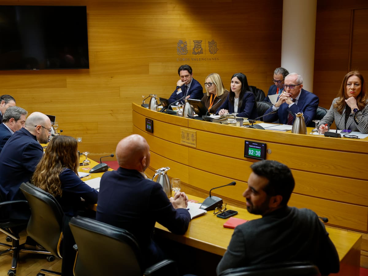 Una asociación conspiranoica con sede en Asturias pone en duda el número oficial de víctimas de la DANA en Les Corts Valencianes