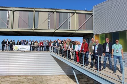 Foto de grupo de los participantes en la XII Jornadas de Origen España