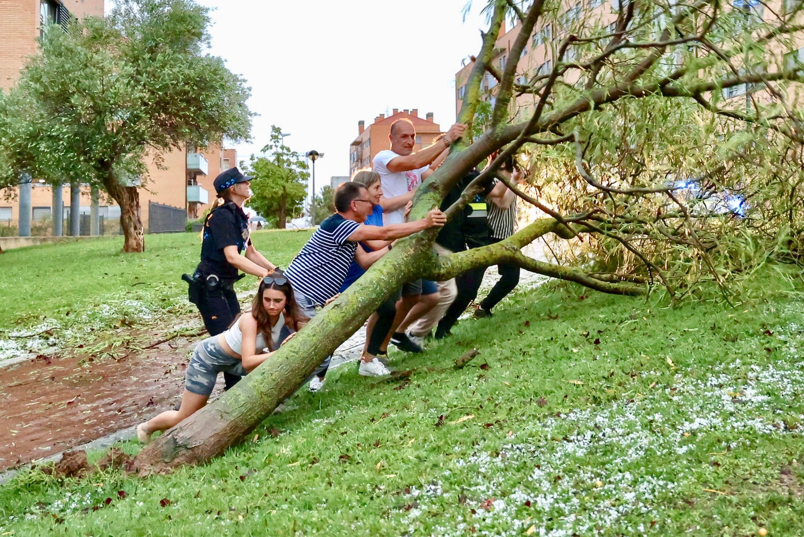 La Policía Local y un grupo de ciudadanos intentan retirar un árbol caído sobre la entrada de un garaje, este miércoles en Logroño, donde han caído 7,4 litros por metro cuadrado después de que haya caído una fuerte tormenta con granizo. EFE/ Raquel Manzanares