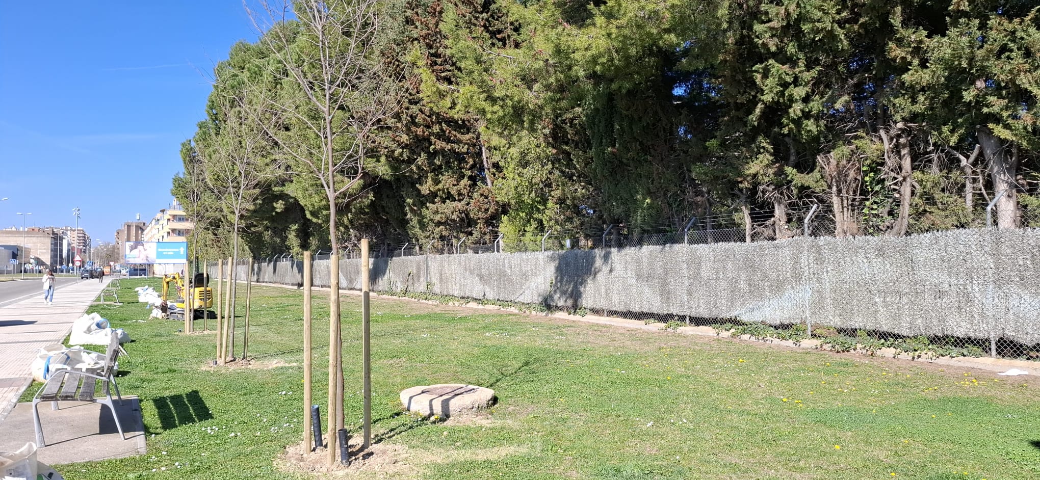 Nuevo arbolado en el Paseo Ramón y Cajal de Huesca
