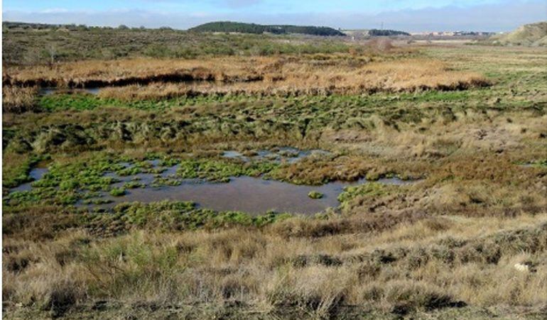 La organización alerta del deterioro de estos humedales