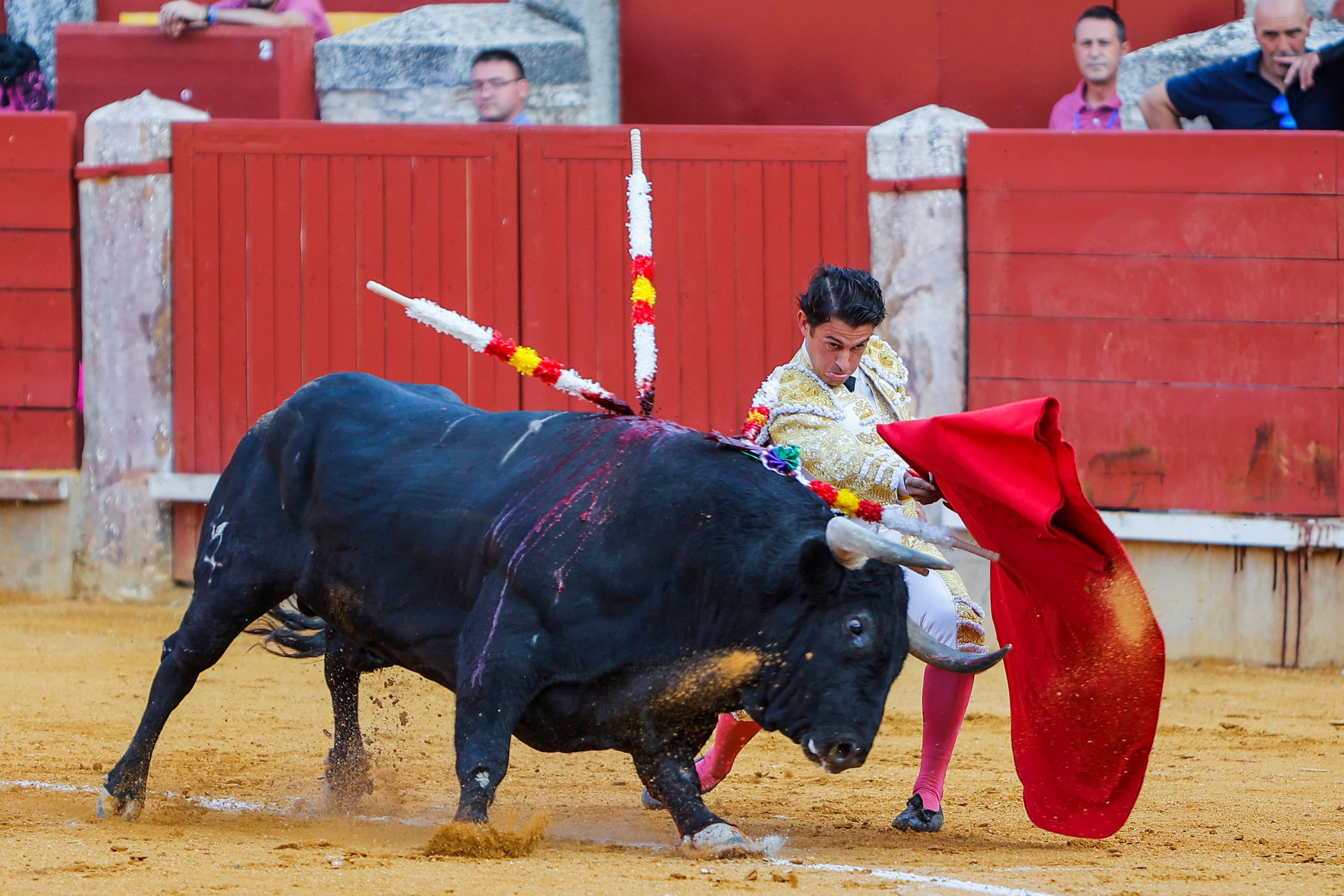 El diestro Carlos Aranda en Ciudad Real. EFE/ Julio César Sánchez