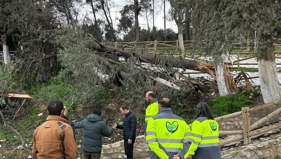 Otro momento de la visita, de Erik Domínguez, a la Fuente Garcíez en Jódar