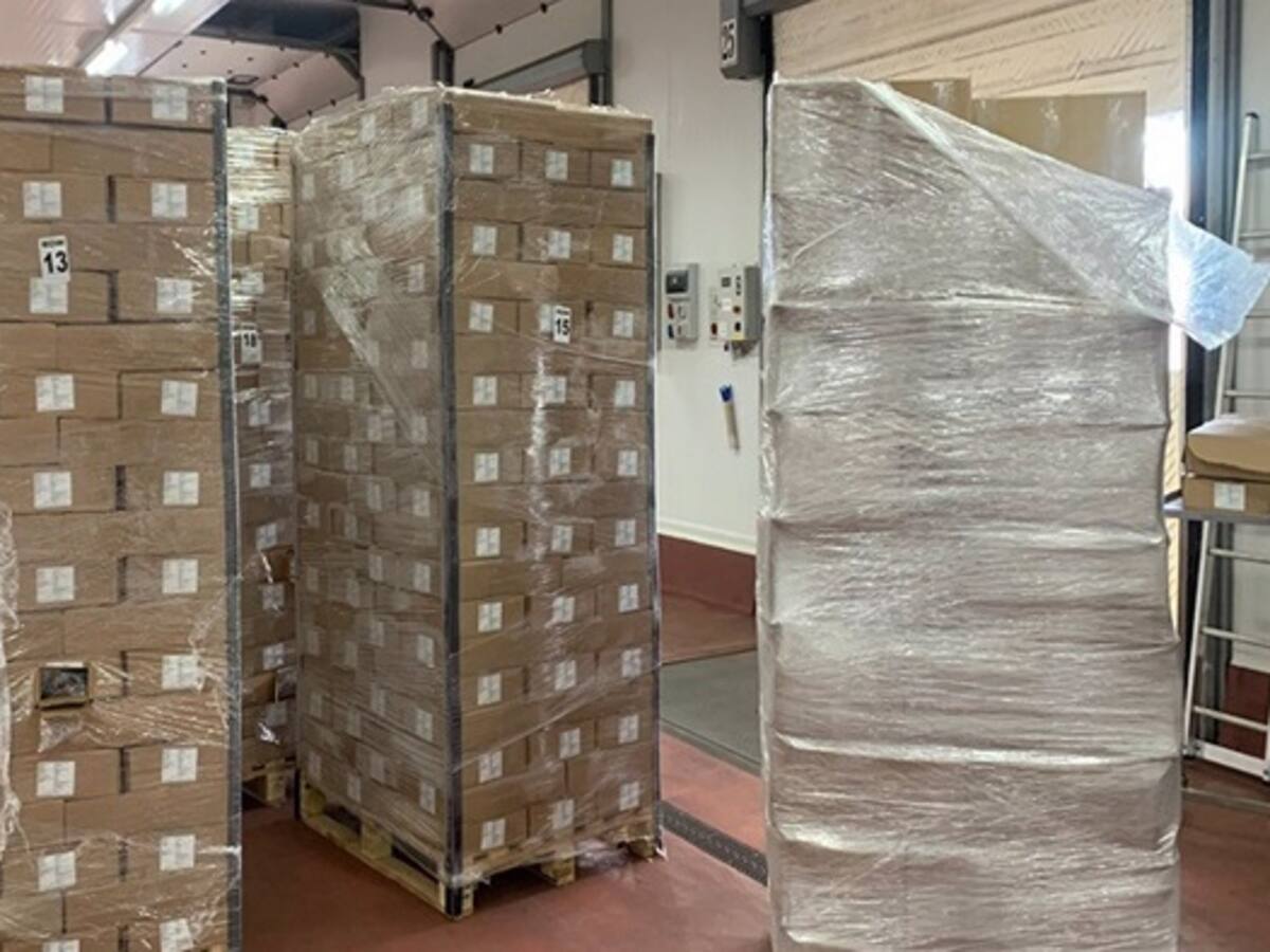 El Puerto de Algeciras, principal vía de entrada de cocaína en la provincia en 2022