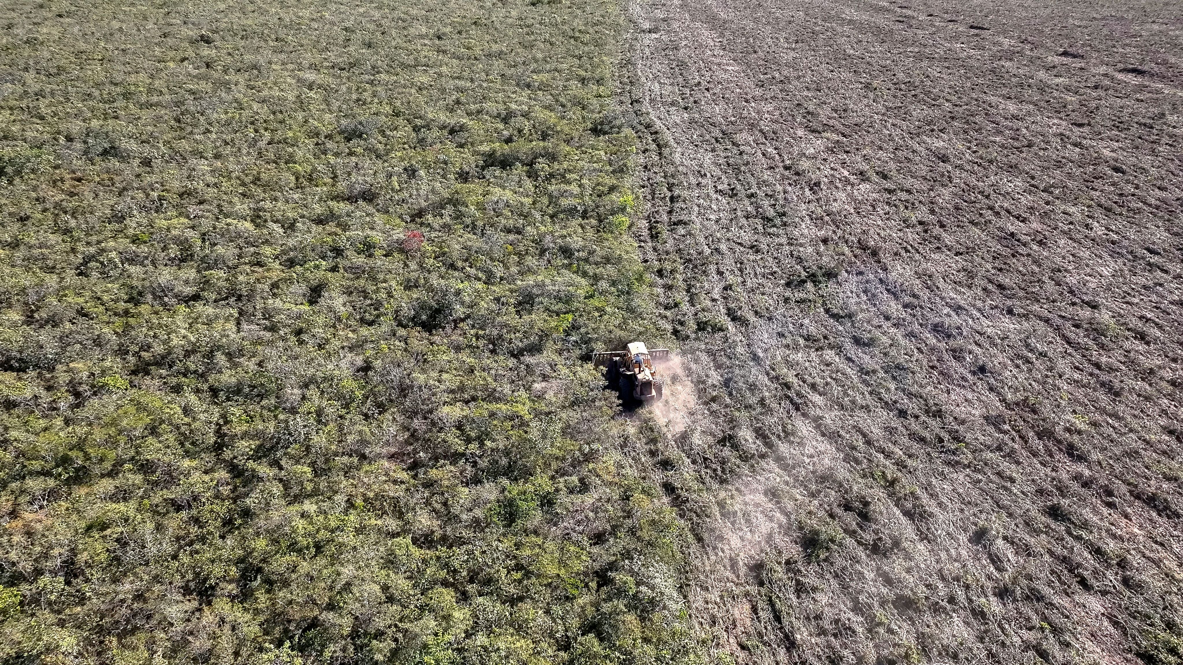 Earthsight witnessed deforestation taking place in Correntina, Bahia. © Thomas Bauer / Earthsight