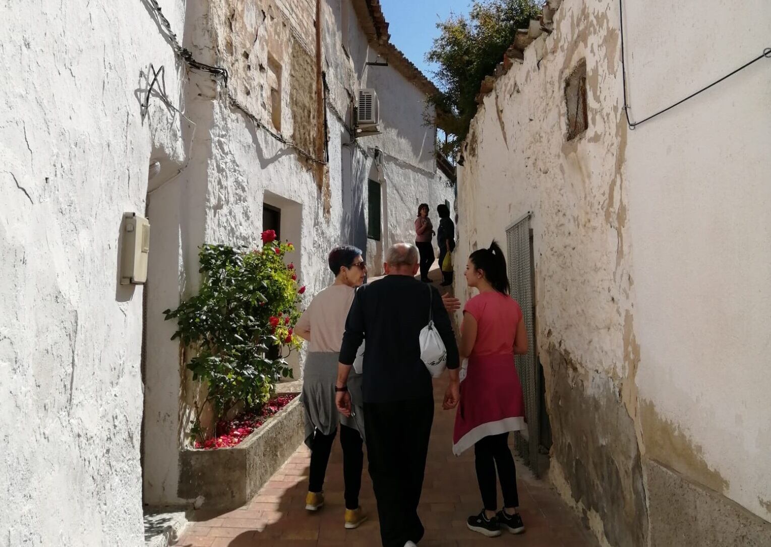 Un grupo de personas participa en Chilluévar en el reto 'Por un millón de pasos'.