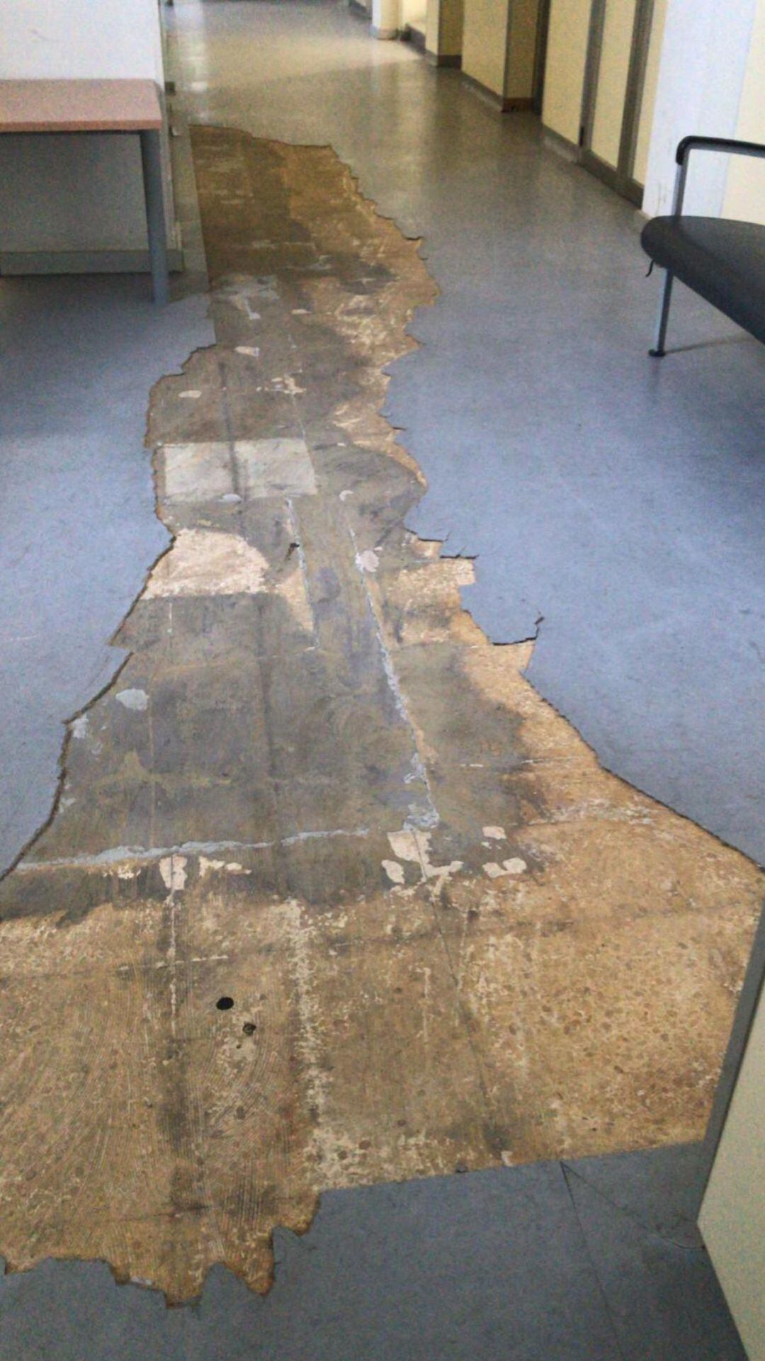 Imagen actual del suelo en uno de los pasillos del Hospital Psiquiátrico
