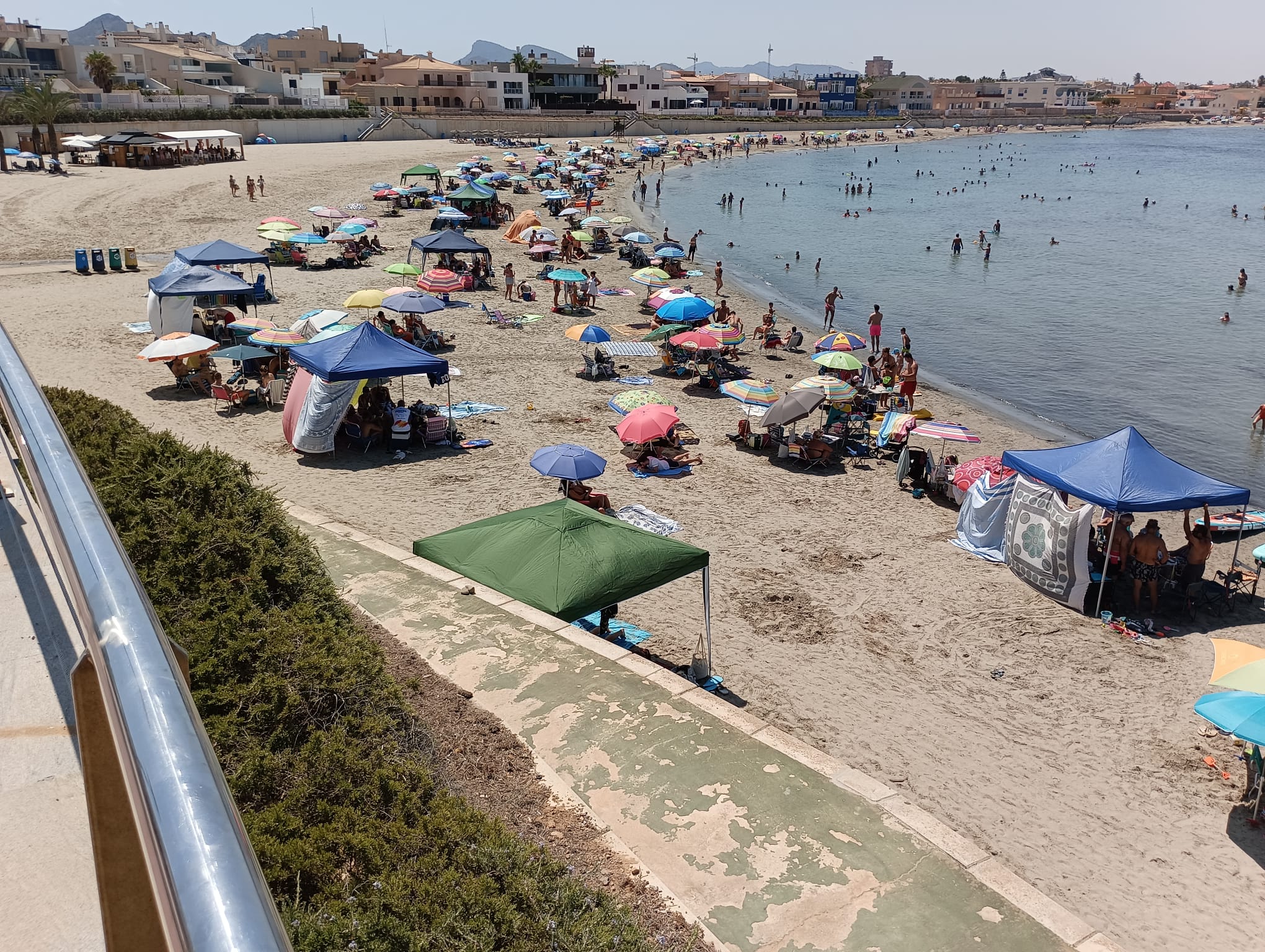 Carpas en la playa de Levante de Cabo de Palos este pasado fin de semana